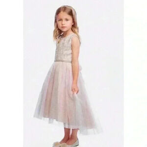 Girls Pink Blush Gold Embroidered Applique Rhinestones Bodice Tulle Dress 10
